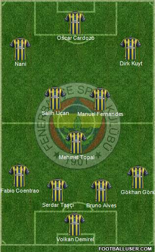 Fenerbahçe SK Formation 2013