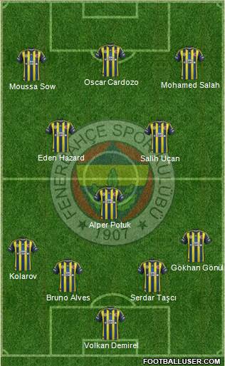 Fenerbahçe SK Formation 2013