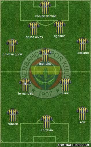Fenerbahçe SK Formation 2013