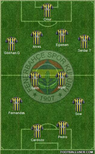 Fenerbahçe SK Formation 2013