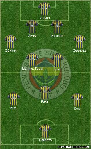 Fenerbahçe SK Formation 2013