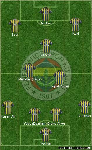 Fenerbahçe SK Formation 2013