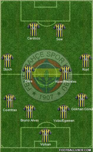 Fenerbahçe SK Formation 2013