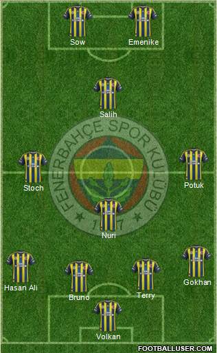 Fenerbahçe SK Formation 2013
