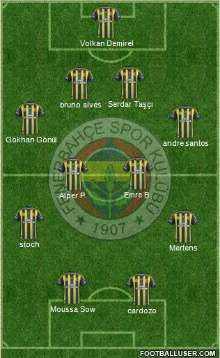 Fenerbahçe SK Formation 2013
