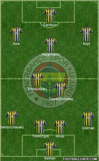 Fenerbahçe SK Formation 2013