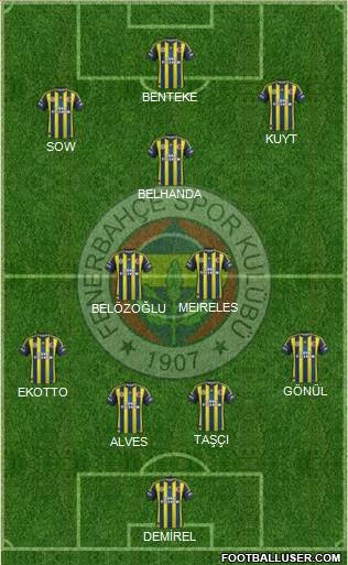 Fenerbahçe SK Formation 2013