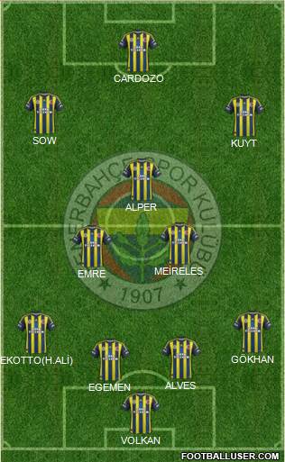 Fenerbahçe SK Formation 2013