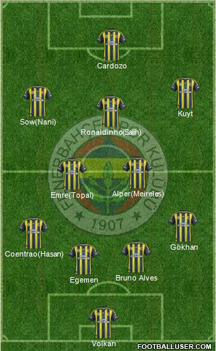 Fenerbahçe SK Formation 2013