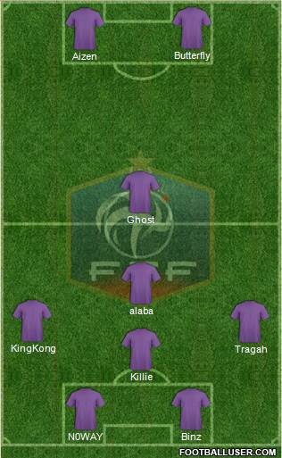 France Formation 2013