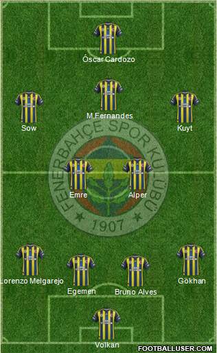 Fenerbahçe SK Formation 2013