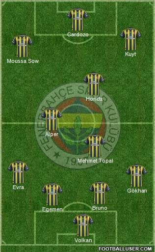 Fenerbahçe SK Formation 2013