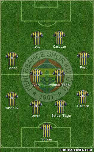 Fenerbahçe SK Formation 2013