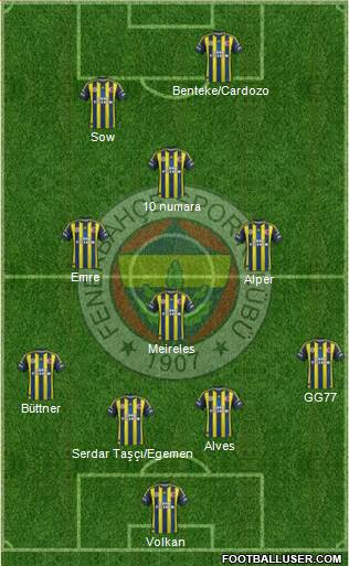 Fenerbahçe SK Formation 2013