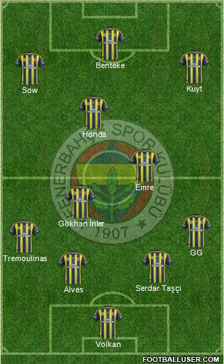 Fenerbahçe SK Formation 2013