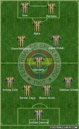 Fenerbahçe SK Formation 2013