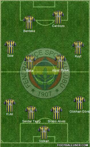 Fenerbahçe SK Formation 2013