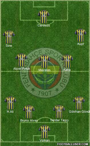 Fenerbahçe SK Formation 2013