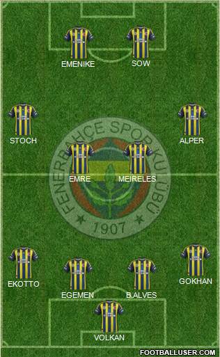Fenerbahçe SK Formation 2013