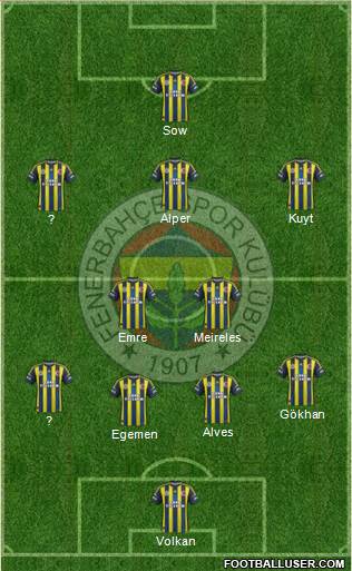 Fenerbahçe SK Formation 2013