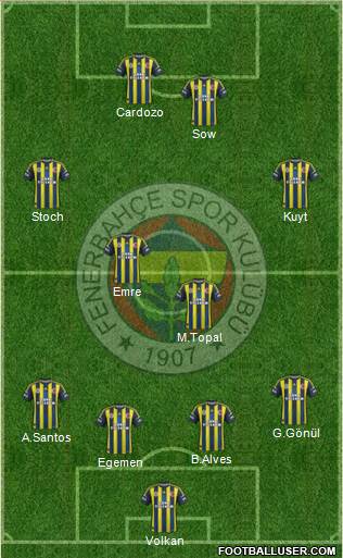 Fenerbahçe SK Formation 2013