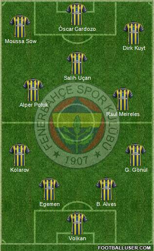 Fenerbahçe SK Formation 2013