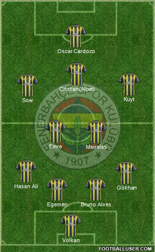 Fenerbahçe SK Formation 2013