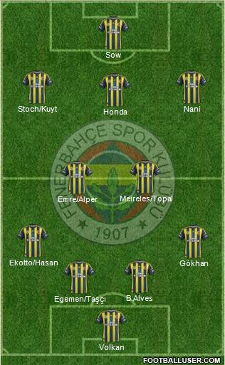 Fenerbahçe SK Formation 2013