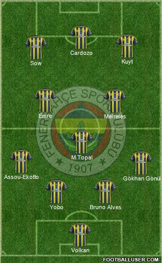 Fenerbahçe SK Formation 2013