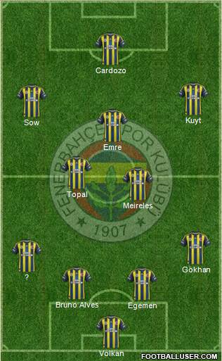Fenerbahçe SK Formation 2013