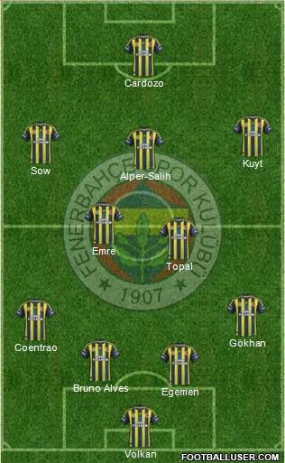 Fenerbahçe SK Formation 2013