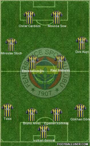 Fenerbahçe SK Formation 2013