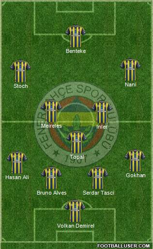 Fenerbahçe SK Formation 2013