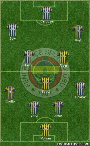 Fenerbahçe SK Formation 2013