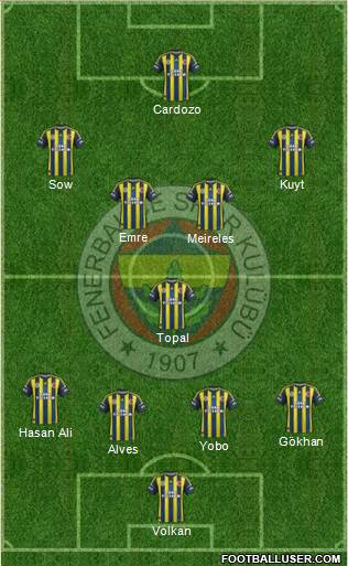 Fenerbahçe SK Formation 2013