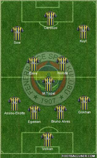 Fenerbahçe SK Formation 2013