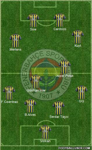 Fenerbahçe SK Formation 2013