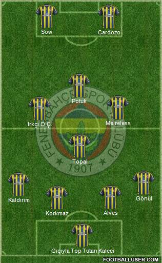 Fenerbahçe SK Formation 2013