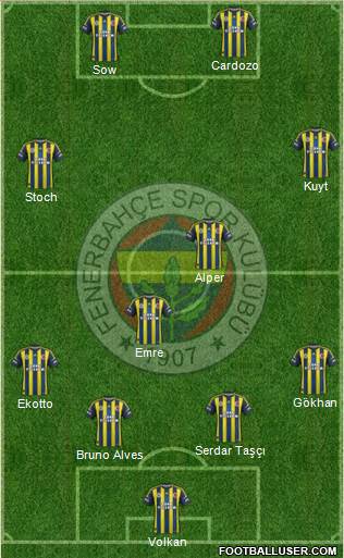 Fenerbahçe SK Formation 2013