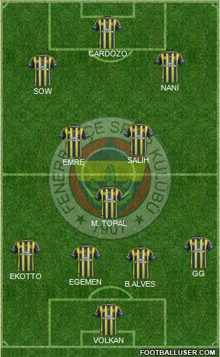 Fenerbahçe SK Formation 2013