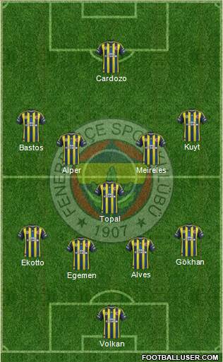 Fenerbahçe SK Formation 2013