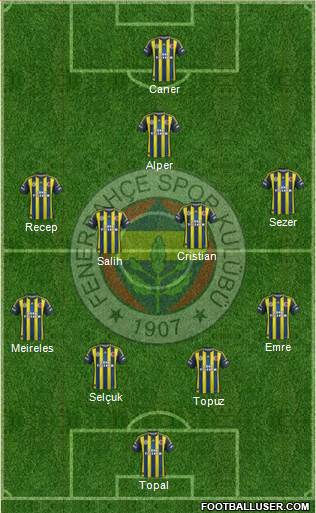 Fenerbahçe SK Formation 2013
