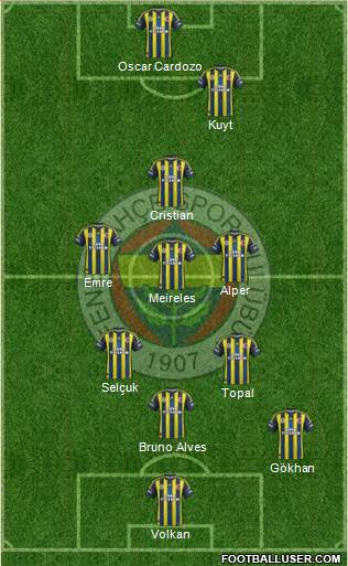 Fenerbahçe SK Formation 2013