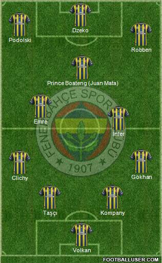 Fenerbahçe SK Formation 2013