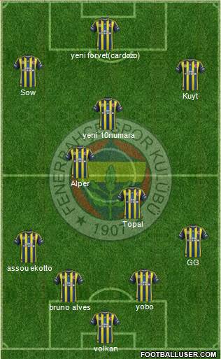 Fenerbahçe SK Formation 2013