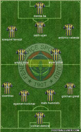 Fenerbahçe SK Formation 2013