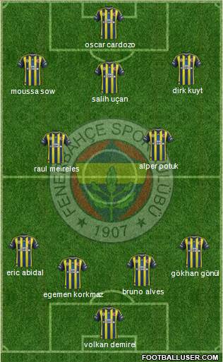 Fenerbahçe SK Formation 2013