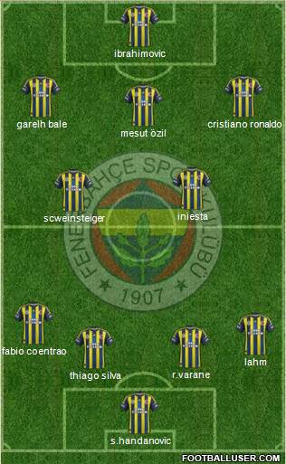 Fenerbahçe SK Formation 2013