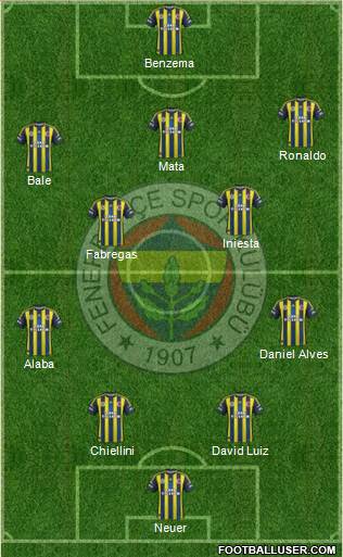 Fenerbahçe SK Formation 2013