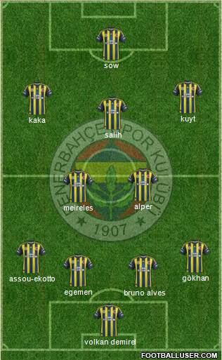 Fenerbahçe SK Formation 2013